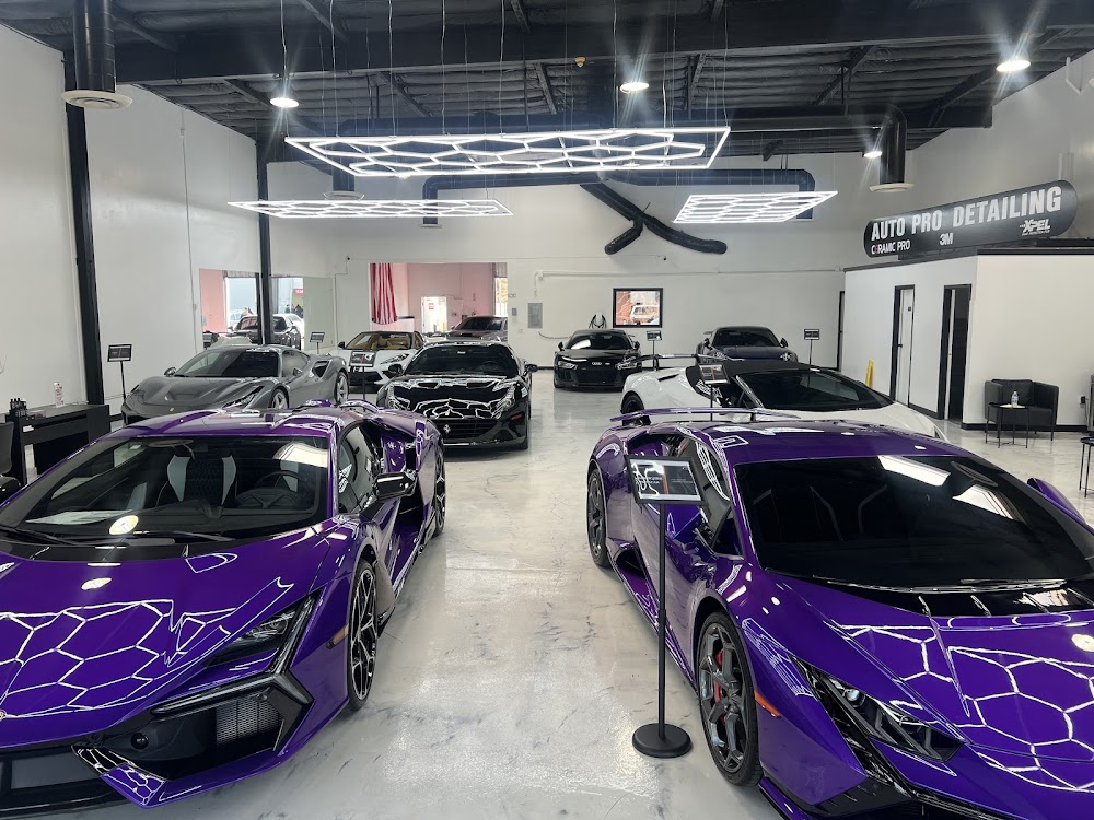 Auto Pro Detailing & Aegis Bay Area paint Protection (Clear Bra Film )