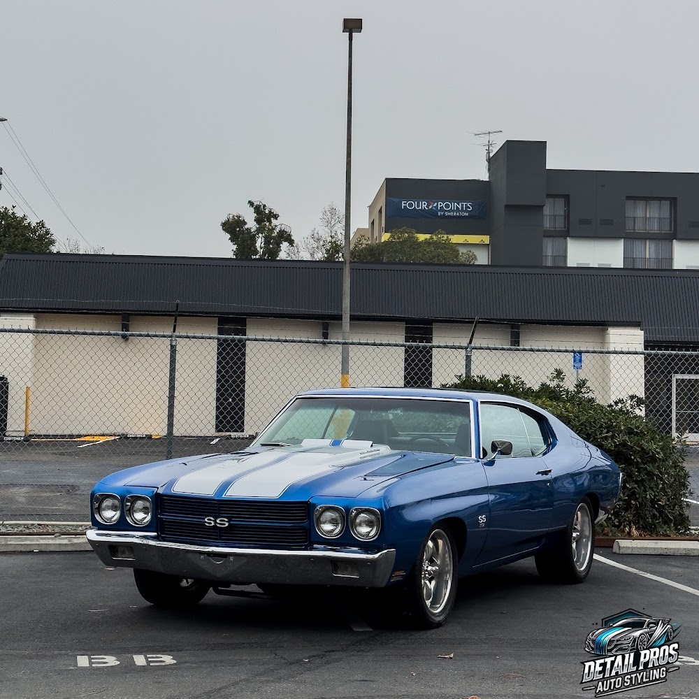 Detail Pros Auto Styling