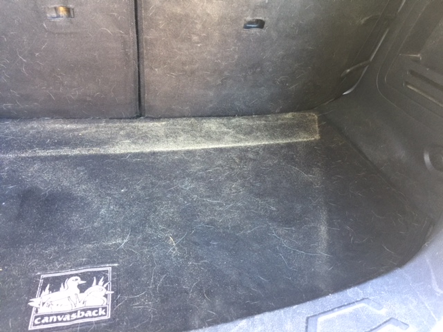 J J’s Auto Detailing Shop