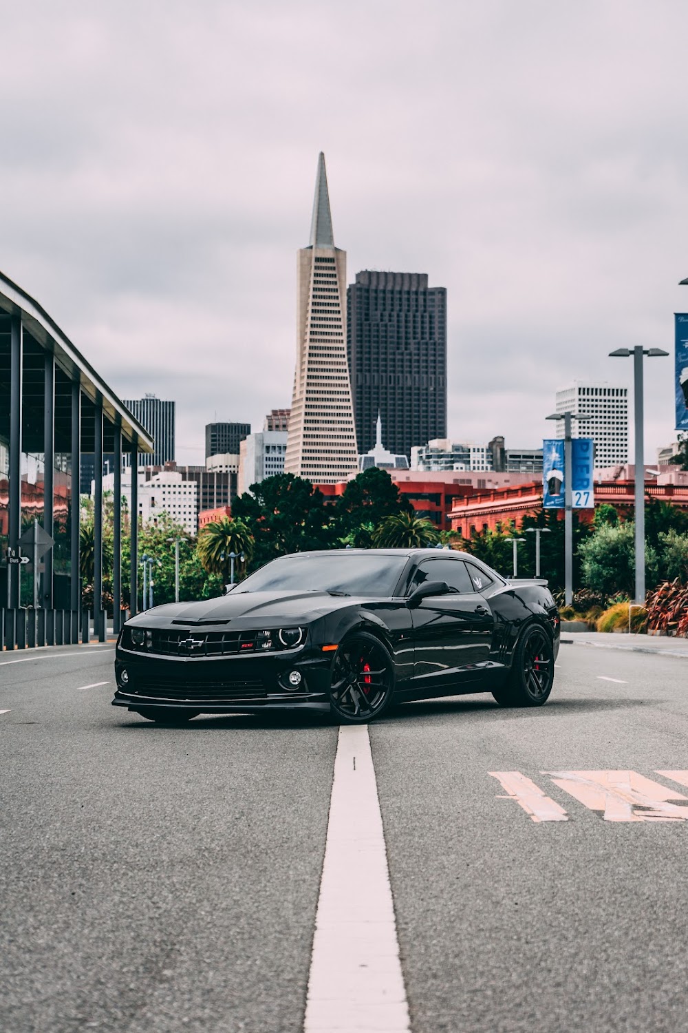 Reckless Auto Detailing-Tint